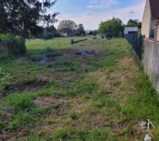 TADAM ! le terrain une fois nettoy&eacute; ! non, ce ne sont pas des trous d&ucirc;s &agrave; une guerre, c'est juste les trous laiss&eacute;s par les arbres d&eacute;racin&eacute;s... cela vous donne une id&eacute;e de la taille des souches qu'il a fallu d&eacute;terrer !