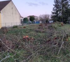 Petite photo du terrain pendant mon passage tron&ccedil;onneuse &agrave; la main ! 
On a du &eacute;vacuer le bois, nous en avons brul&eacute; une grande partie (je sais ce n'est pas bien mais &eacute;vacuer 12 arbres en d&eacute;ch&egrave;terie ce n'est clairement pas &eacute;vident...)
Pour ce qui est des souches, une GALERE ! on a pu d&eacute;raciner et &eacute;vacuer celles qui g&ecirc;naient la construction, pour les autres, on avisera plus tard !