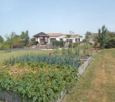 Le potager au premier plan  pommes de terre oignons , plants de courgettes, potirons, et plants de tomates...a droite le jardin de mon voisin préféré( mon grand frère)