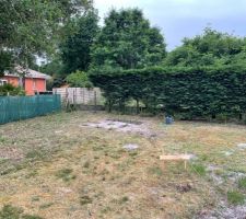 Implantation et potager