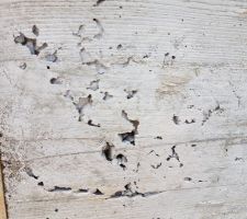 Constat des malfa&ccedil;ons et constat de masquage de malfa&ccedil;ons