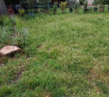 Passage du g&eacute;om&egrave;tre