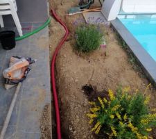 Mise en place de l'eau pour arrosage et arbustes plantés.