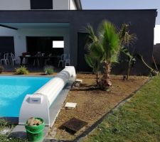 Terre remise &agrave; niveau et bananier plant&eacute; &agrave; l'arri&egrave;re plan.