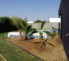 Vue d'ensemble de la zone pr&eacute;par&eacute;e.