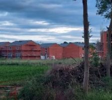 1&egrave;re maison cr&eacute;pie lot 61 &agrave; priori