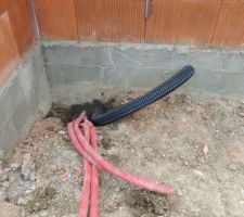 Cours anglaise vide sanitaire