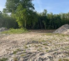 Le terrain fin avril, apr&egrave;s d&eacute;blayage de la bande de for&ecirc;t.

Ils nous ont laiss&eacute; un &eacute;norme ch&ecirc;ne, le dernier du lotissement!