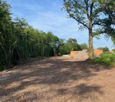 Terrain mi mai..... Vue prise depuis la bande de terre d&eacute;frich&eacute;e. 
Notre ch&ecirc;ne est toujours l&agrave; (a droite)