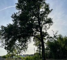 Va t-on le garder...?