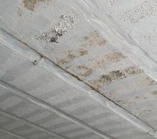 Gros plan du plafond du garage