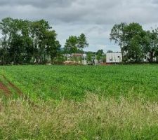 Le bas avance le haut non