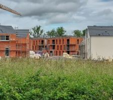 Le bas avance le haut non