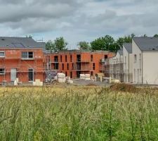 Le bas avance le haut non