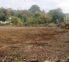 Nettoyage du terrain &ccedil;a commence a prendre forme