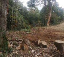 Nettoyage du terrain