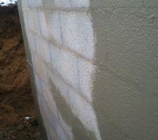 Motex dry plus