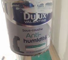 Sous-Couche anti humidité de chez Dulux Valentine pour toutes les pièces humides
