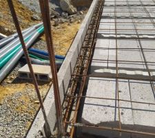 Planelles périphériques