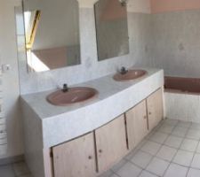Photo de la salle bain avant début des travaux