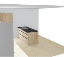Cuisine plus