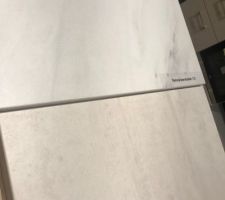 Plan de travail " pierre de lune" et façade béton
Nous voulons un style épuré