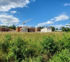 Avanc&eacute; des finitions pour la partie basse du quartier