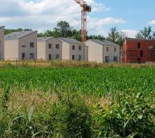 Avanc&eacute; des finitions pour la partie basse du quartier