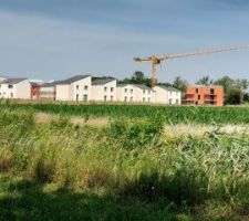 Avanc&eacute; des finitions pour la partie basse du quartier