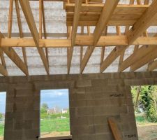 Charpente niveau salon