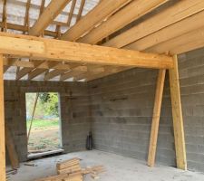Charpente niveau salon