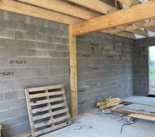 Charpente niveau salon