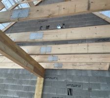 Charpente milieu niveau salon