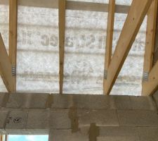 Charpente milieu niveau mur salon