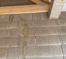 Charpente devant garage