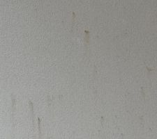 Façade   impacts  grêle et boue argile