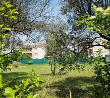 Voil&agrave; notre terrain vu depuis le c&ocirc;t&eacute; Sud