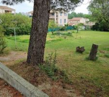 Voil&agrave; notre terrain vu depuis le c&ocirc;t&eacute; ouest, qui &agrave; l'origine &eacute;tait le haut du jardin d'une propri&eacute;t&eacute; red&eacute;coup&eacute;e en 3 parcelles