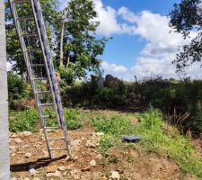 Nettoyage du talus,&ccedil;a commence &agrave; ressembler a quelque chose !