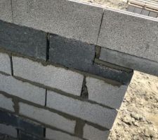Vide sanitaire 6 rangs plutot mochinou
nous avons demandé à ce que les joints soient au moins comblés, mais pas besoin puisque " les paprpaings seront remplis de béton !!"
