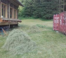 Le foin est sec, pr&ecirc;t pour aller &agrave; la grange, les &acirc;nes le mangeront cet hiver