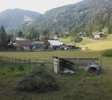 Le foin est sec, prêt pour aller à la grange, les ânes le mangeront cet hiver