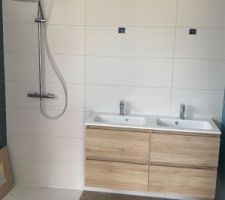 Salle de bain chambre parentale. Manque plus que la parroie vitrée et le miroir/lumière miroir