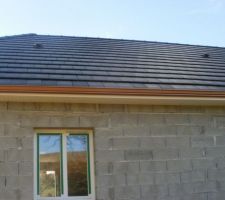 Goutière pas de la bonne couleur