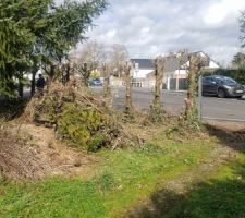 D&eacute;marrage de retrait de la haie