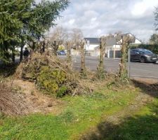 D&eacute;marrage de retrait de la haie