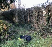 Enfin propri&eacute;taire du terrain