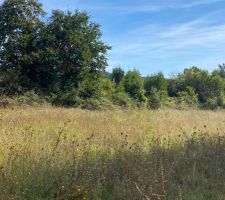 Terrain de 1600m2 divis&eacute; en deux parcelles avec une cr&eacute;ation d'une rampe d'acc&egrave;s pour la deuxi&egrave;me maison