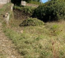 Terrain commencement d&eacute;broussages