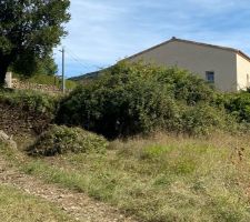 Terrain commencement d&eacute;broussages